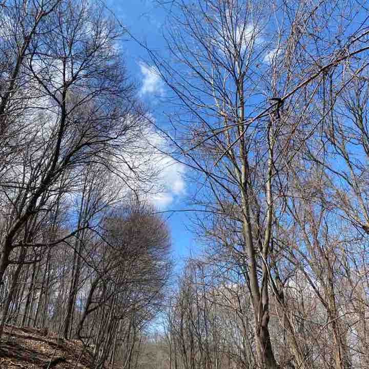 HSR Sarah post image