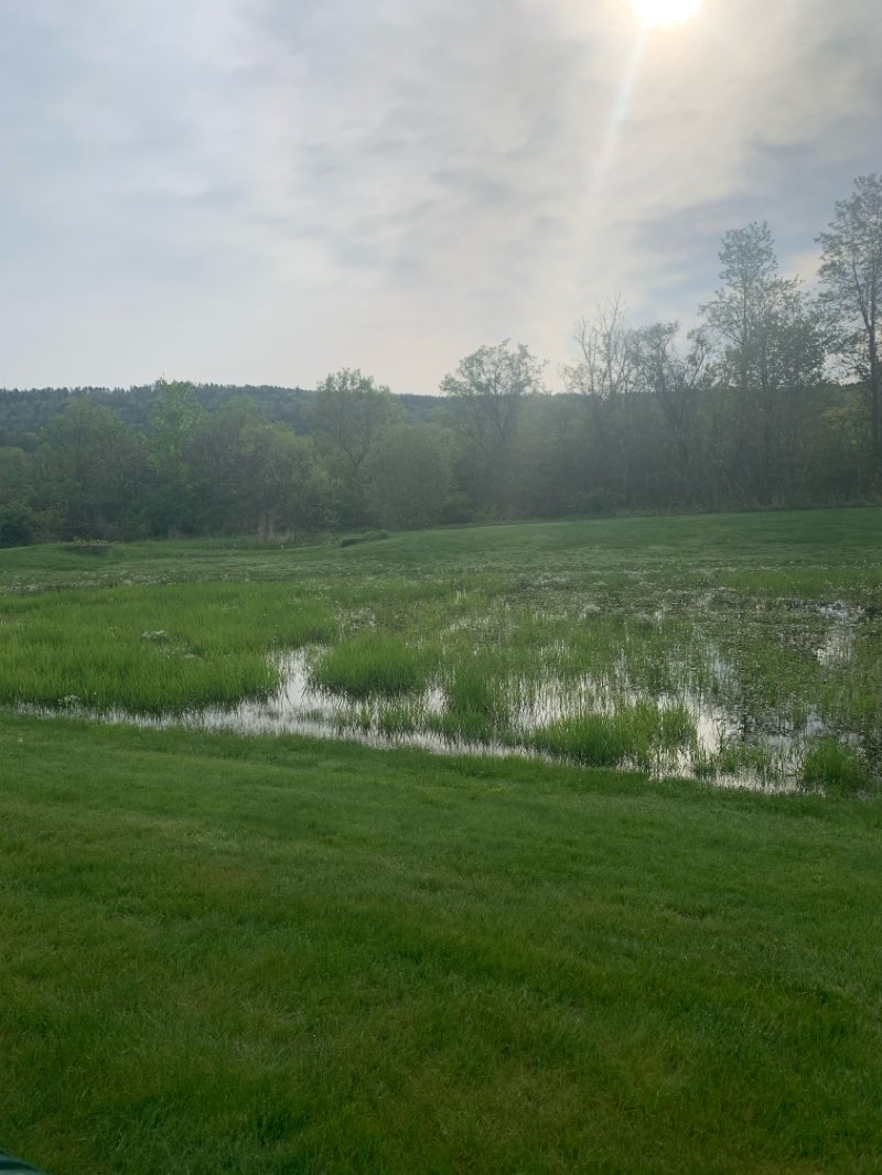 walking near me in Monadnock Park in spring