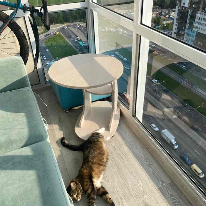 Смелые тапки💪 Екатерина post image