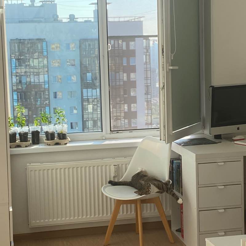 Неуловимые шагатели Екатерина post image