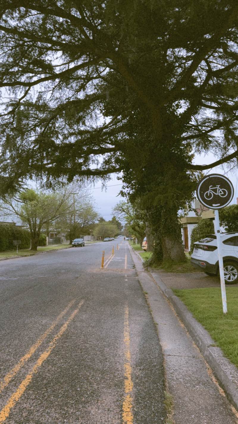 walking near me in Paseo Cantatas de Puentes Amarillos in spring