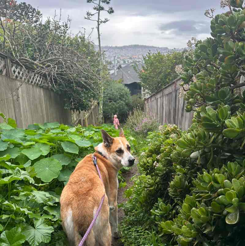 Curology Jaya post image