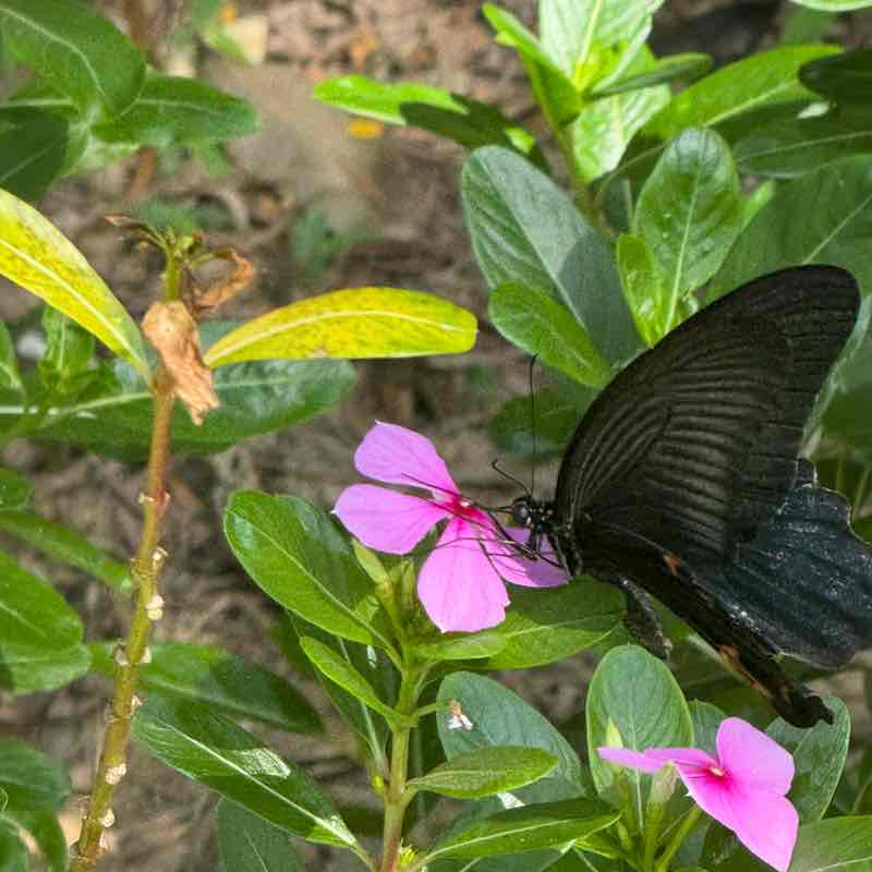 媽媽運動霸 🇹🇼Mickey post image