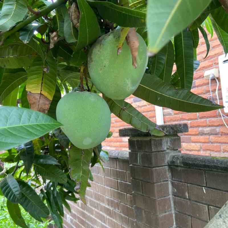 North Macedonia 🇲🇰 Mirce Zajakovski post image