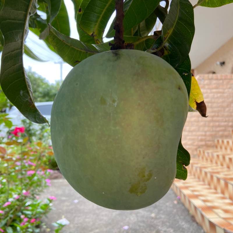 North Macedonia 🇲🇰 Mirce Zajakovski post image