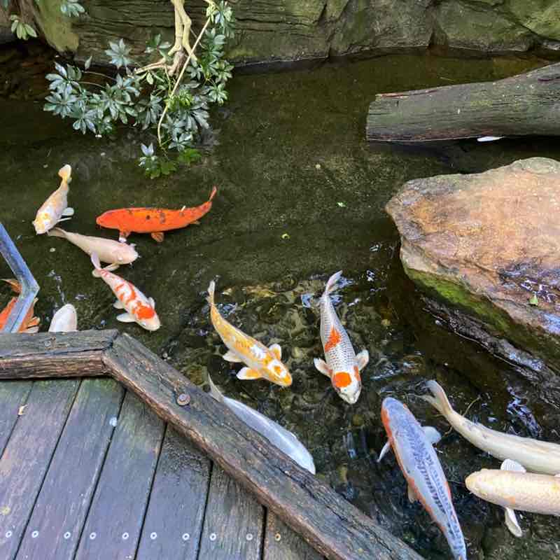 North Macedonia 🇲🇰 Mirce Zajakovski post image