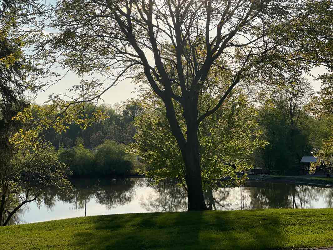 walking near me in James A Garfield National Historic Site in spring