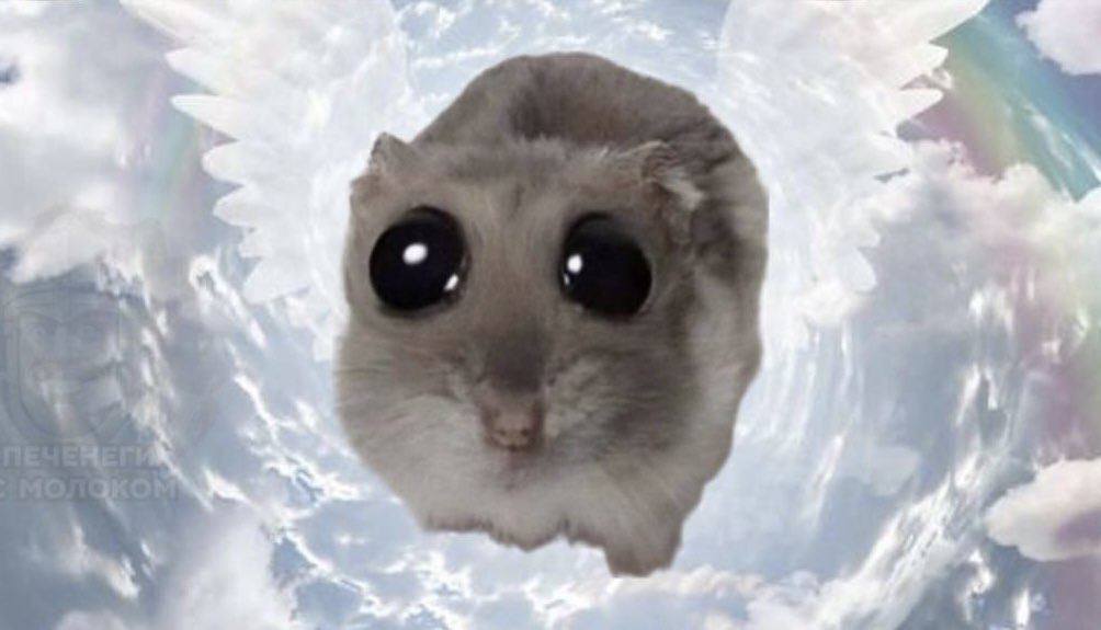 Екатерина profile