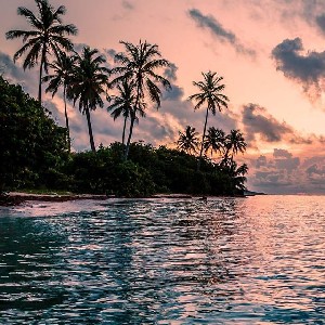 abigail jackson icon