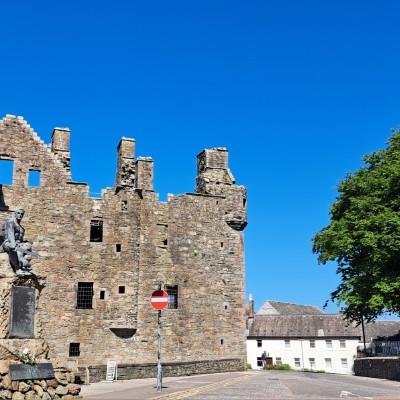 WSP Liz Ohara post image