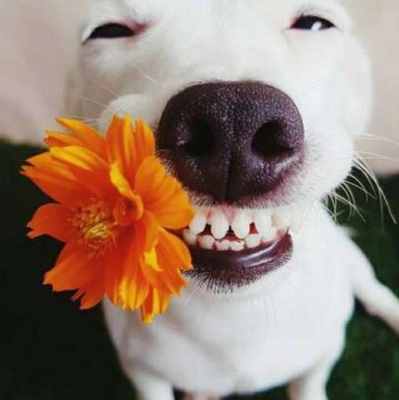 💎🏆Сюцай Наука в Инфобизнесе Оксана post image