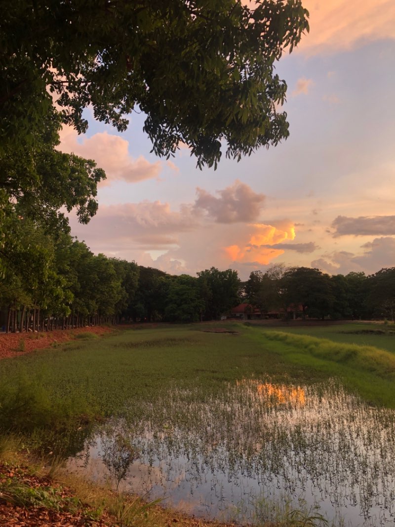 walking near me in CVSM Wildife and Botanical Park in spring
