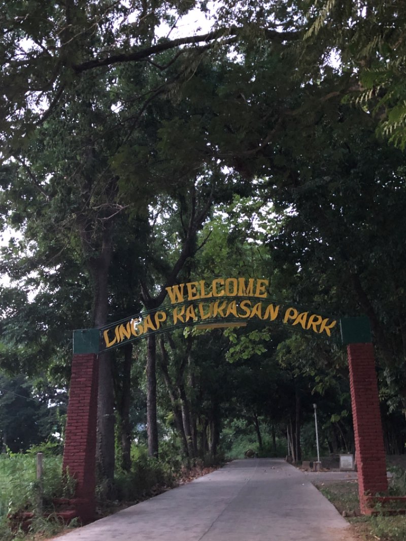 walking near me in Lingap Kalikasan Park in spring