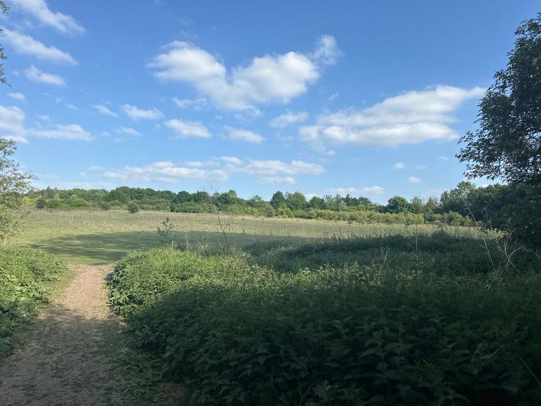 walking near me in Basing House in spring