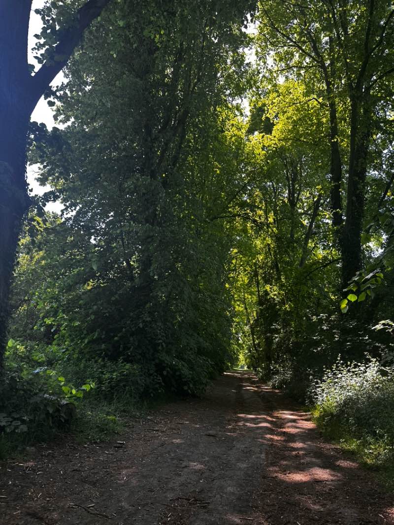 walking near me in Rooksdown Park in spring