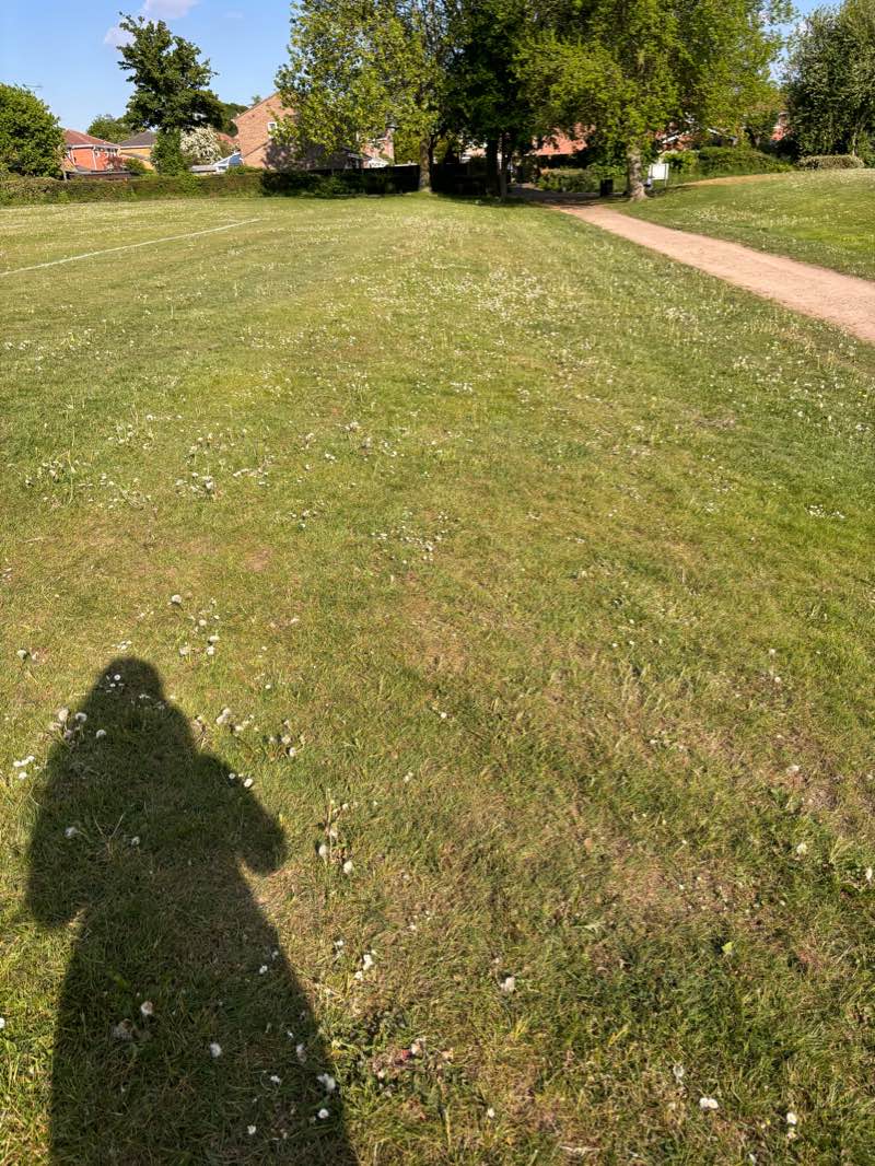 walking near me in Manor Park in spring