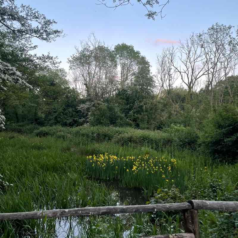 Aletheia Academies Trust Hannah post image