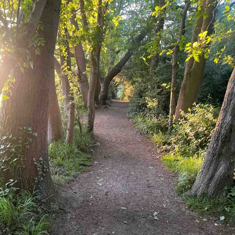 Aletheia Academies Trust Hannah post image