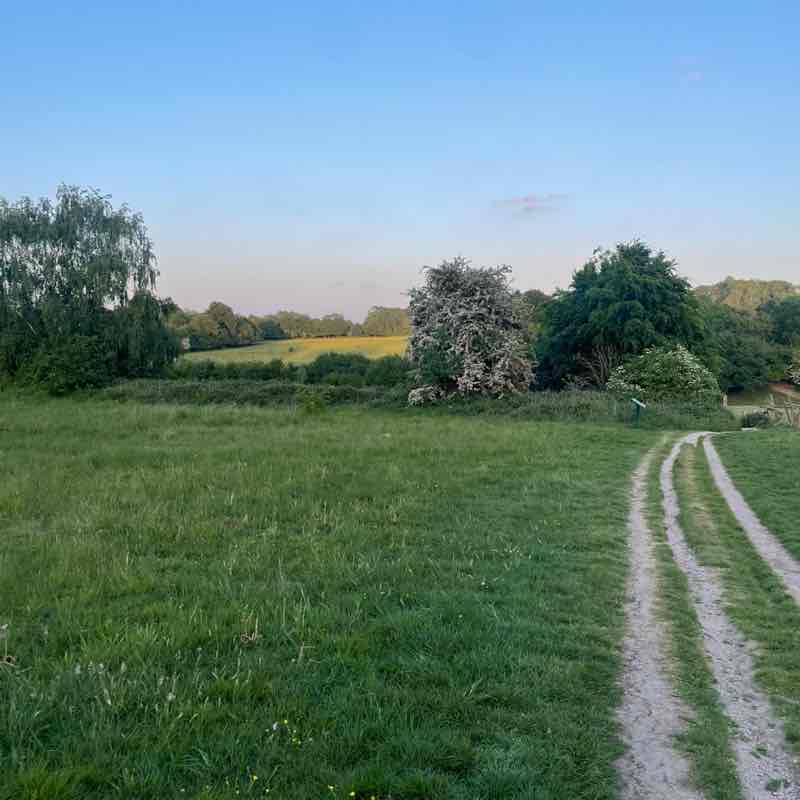 Aletheia Academies Trust Hannah post image