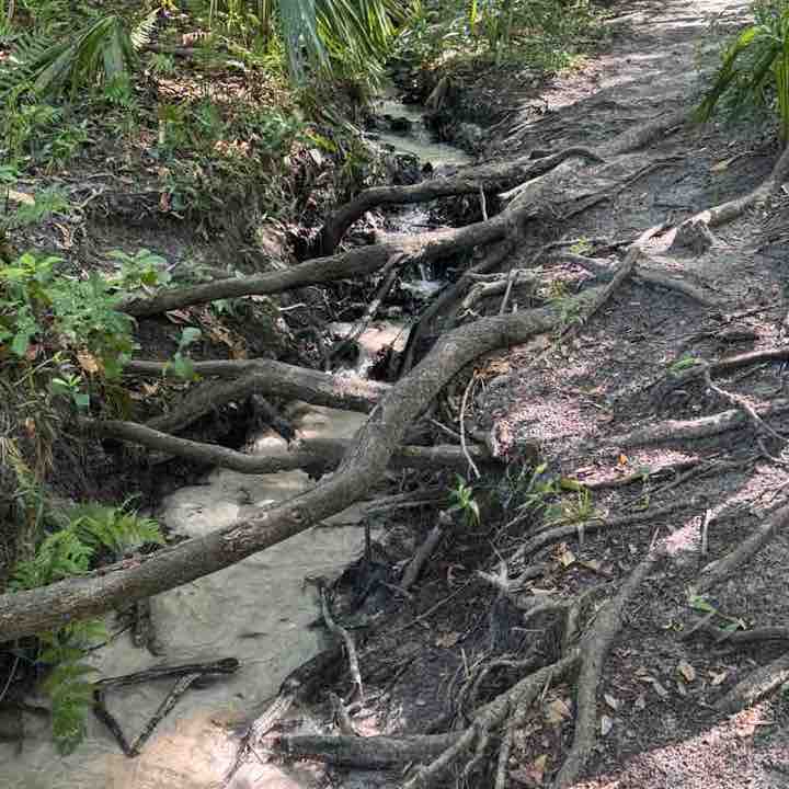 megan.stewart post 2