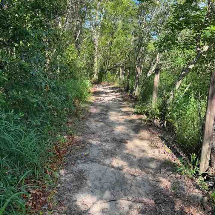 megan.stewart post 1