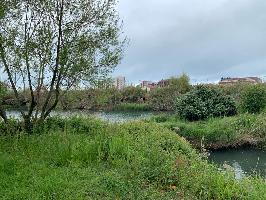 walking near me in Natural Ornithological Park in the Imereti Valley in spring