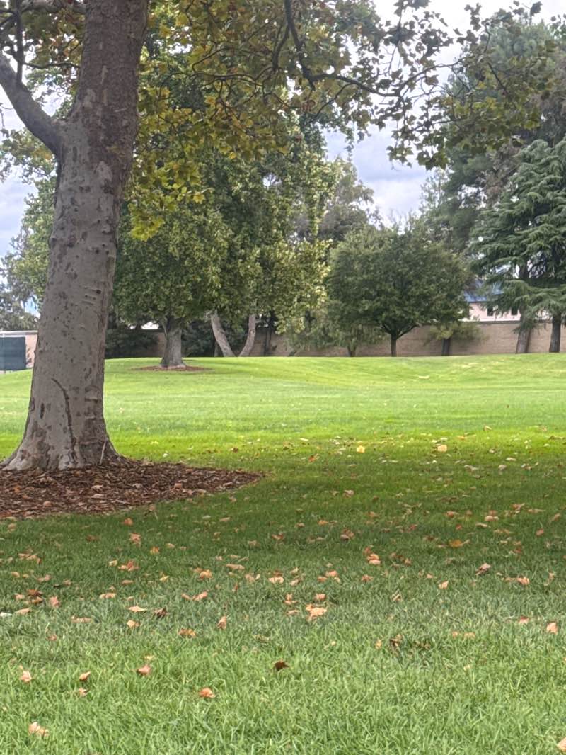 walking near me in Muirwood Park in autumn