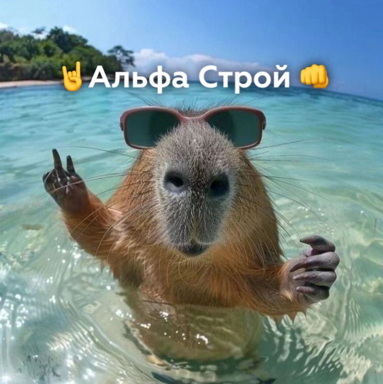 Дмитрий Ершков profile