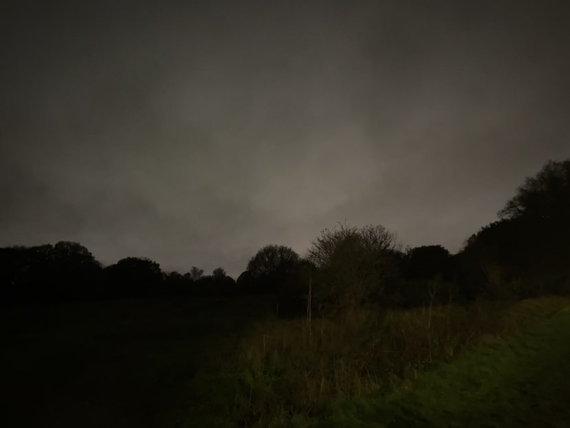walking near me in Mitcham Common in autumn