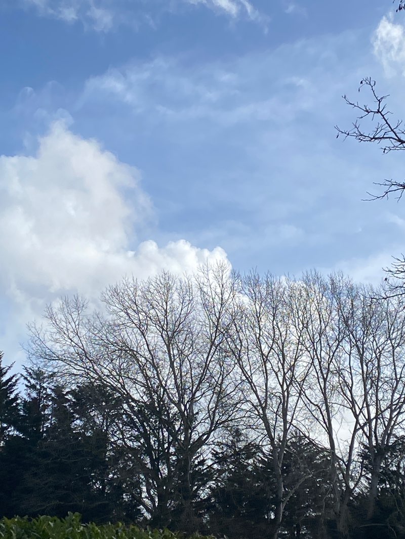 walking near me in Long Bolstead Recreation Ground in winter