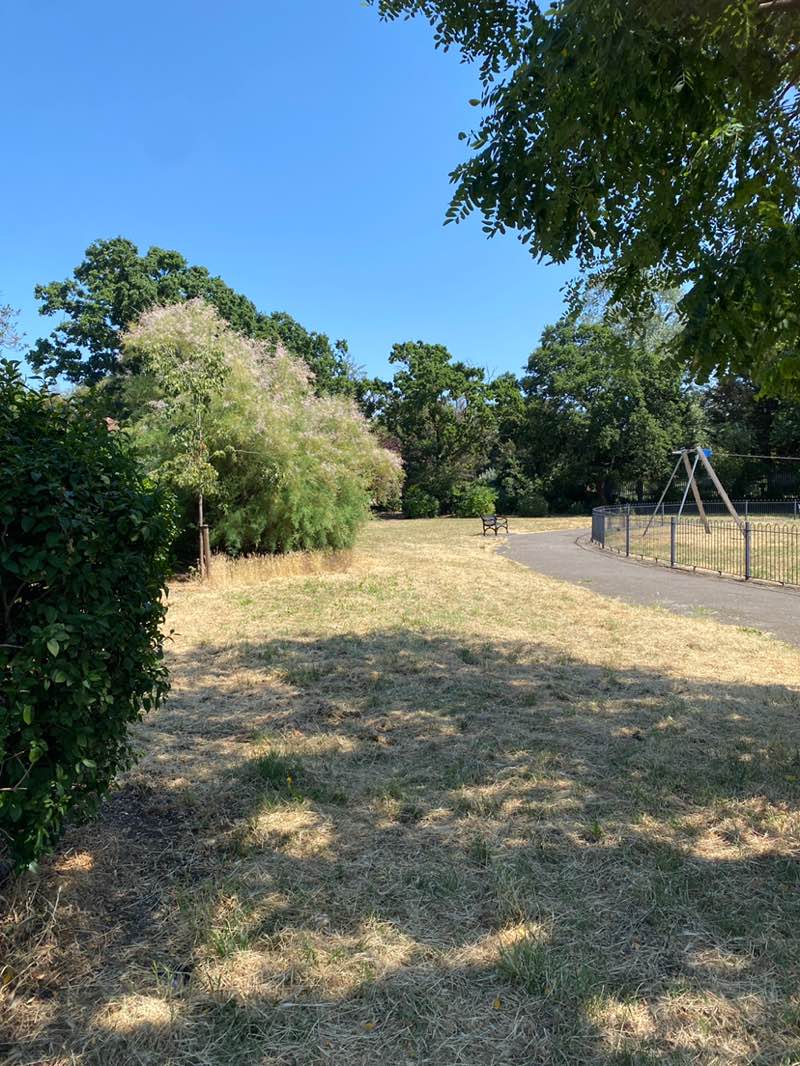 walking near me in Long Bolstead Recreation Ground in summer