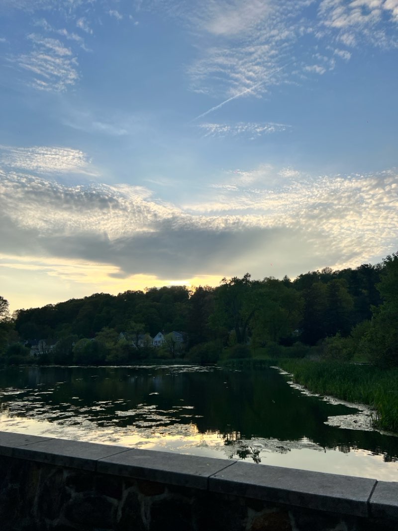 walking near me in Burnham Park in spring
