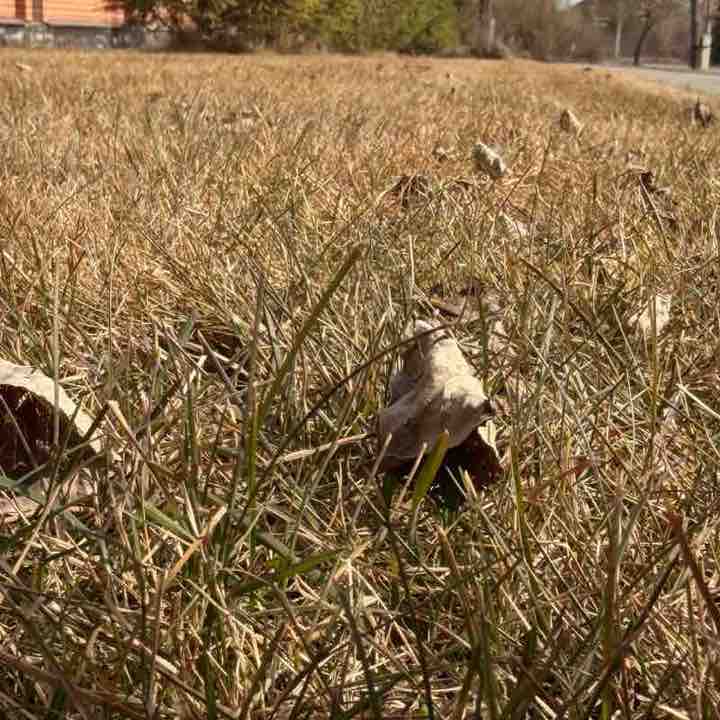 2026  WALKS ⭐️ Наташа Горбунцова post image