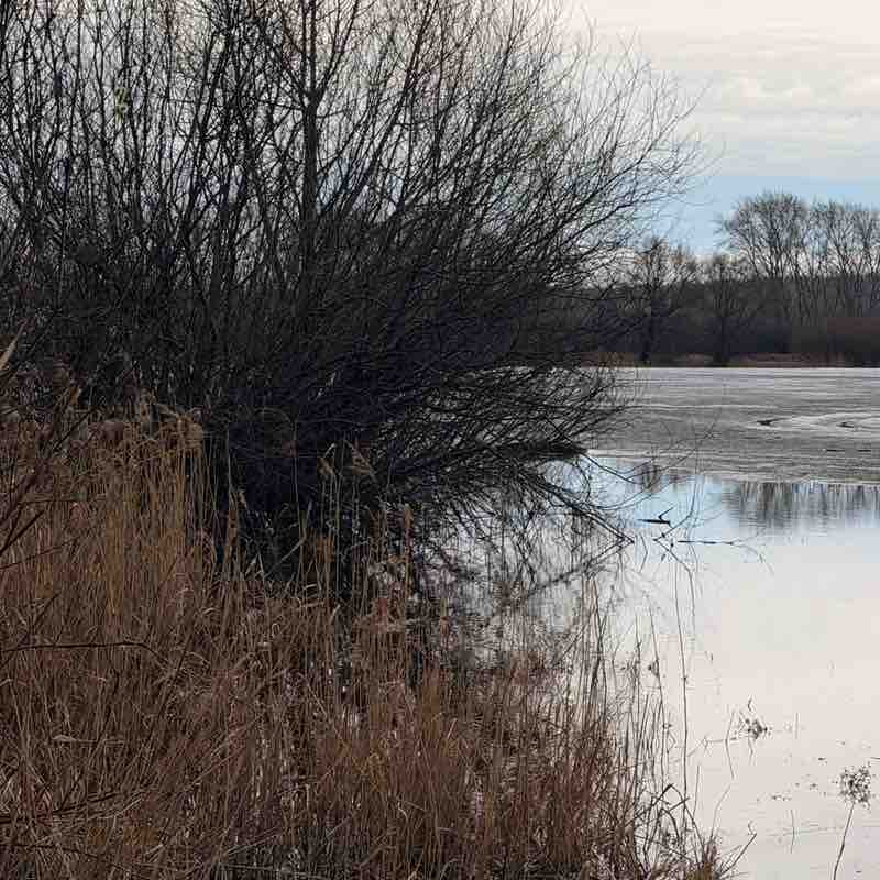 2026  WALKS ⭐️ Наташа Горбунцова post image