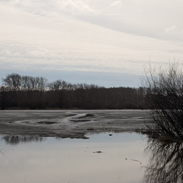 2026  WALKS ⭐️ Наташа Горбунцова post image