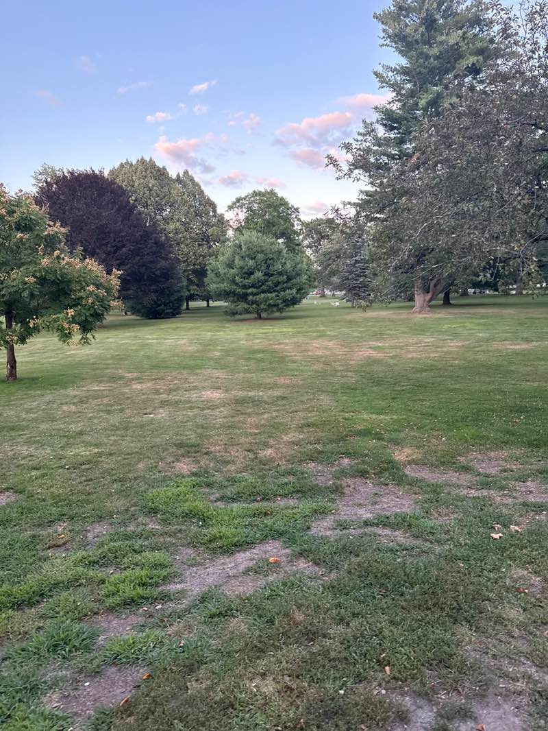 walking near me in Town Common in summer