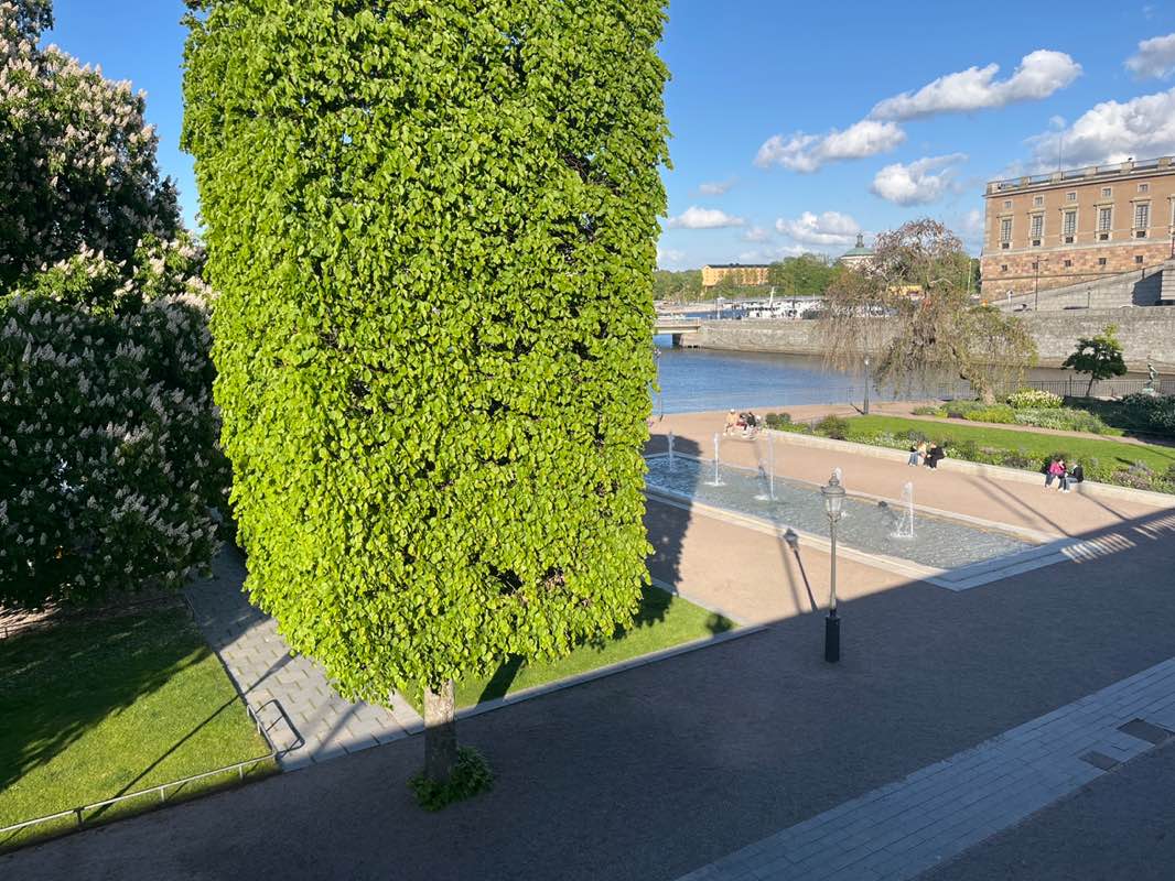 walking near me in Strömparterren in spring