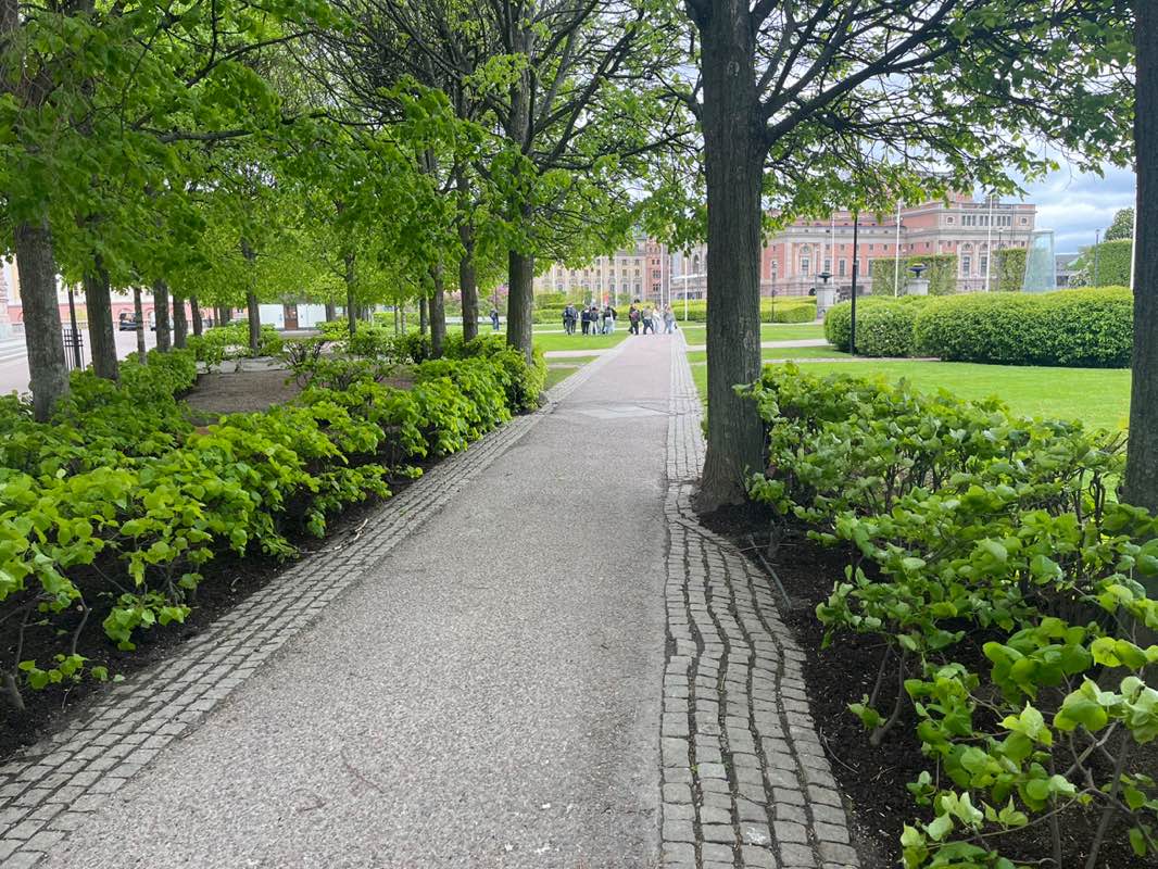 walking near me in Riksplan in spring