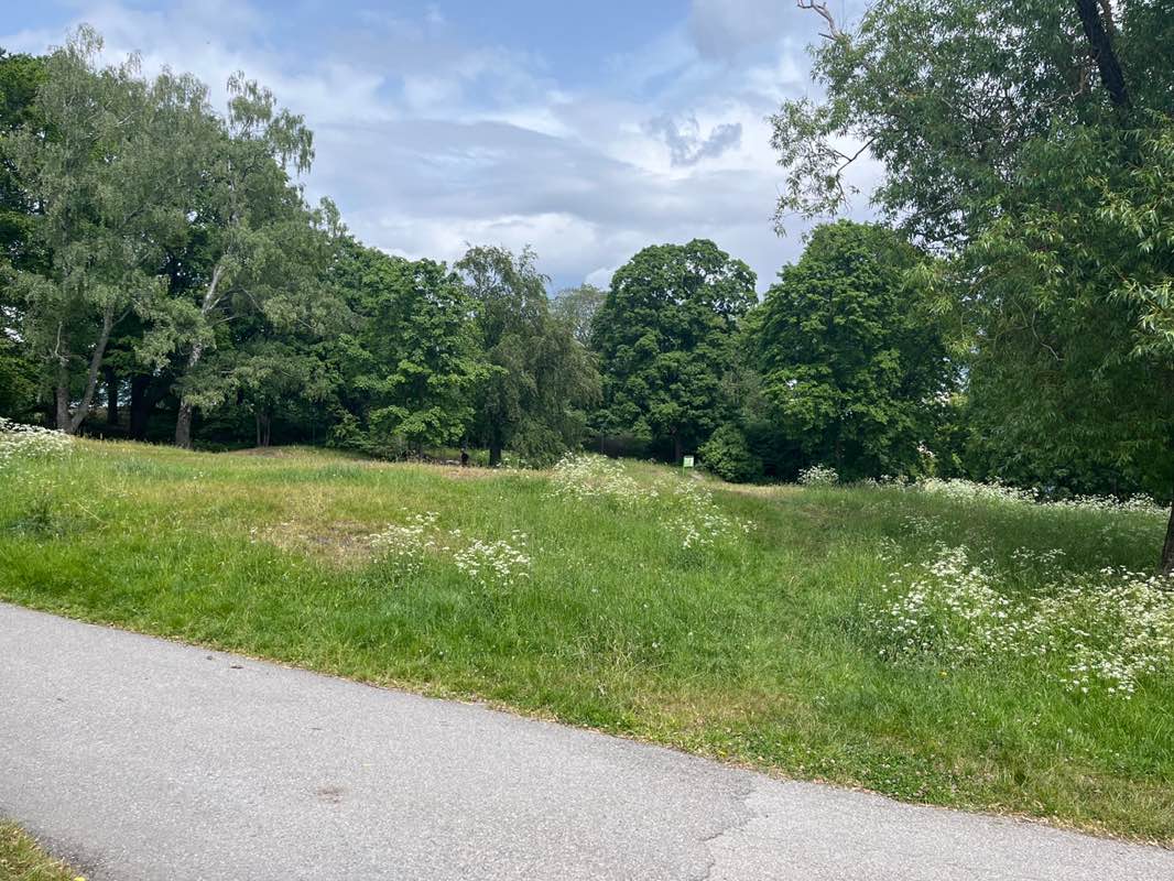 walking near me in Tantolunden in summer