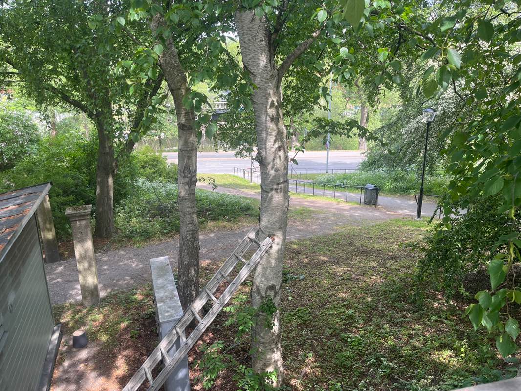 walking near me in Pålsundsparken in summer