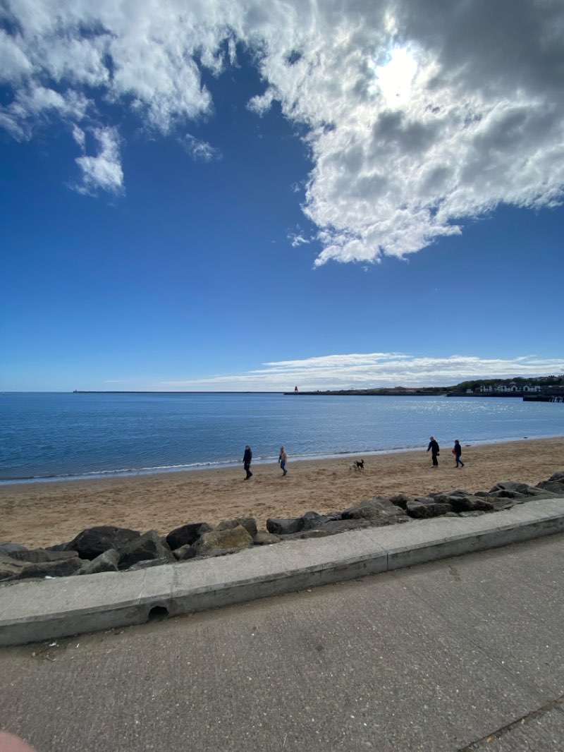 walking near me in Melrose Gardens Park in spring