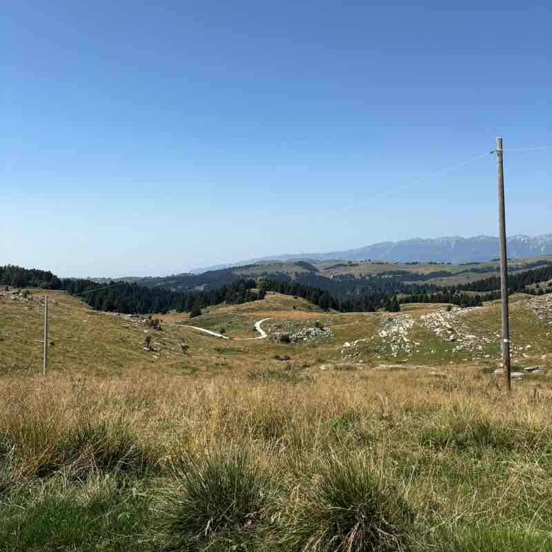 Amici di Saverio Celestino post image