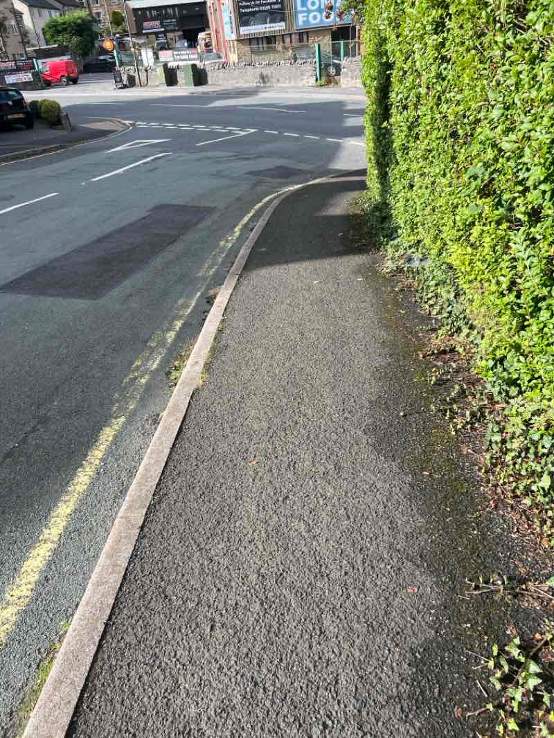 walking near me in Ashwood Park in autumn