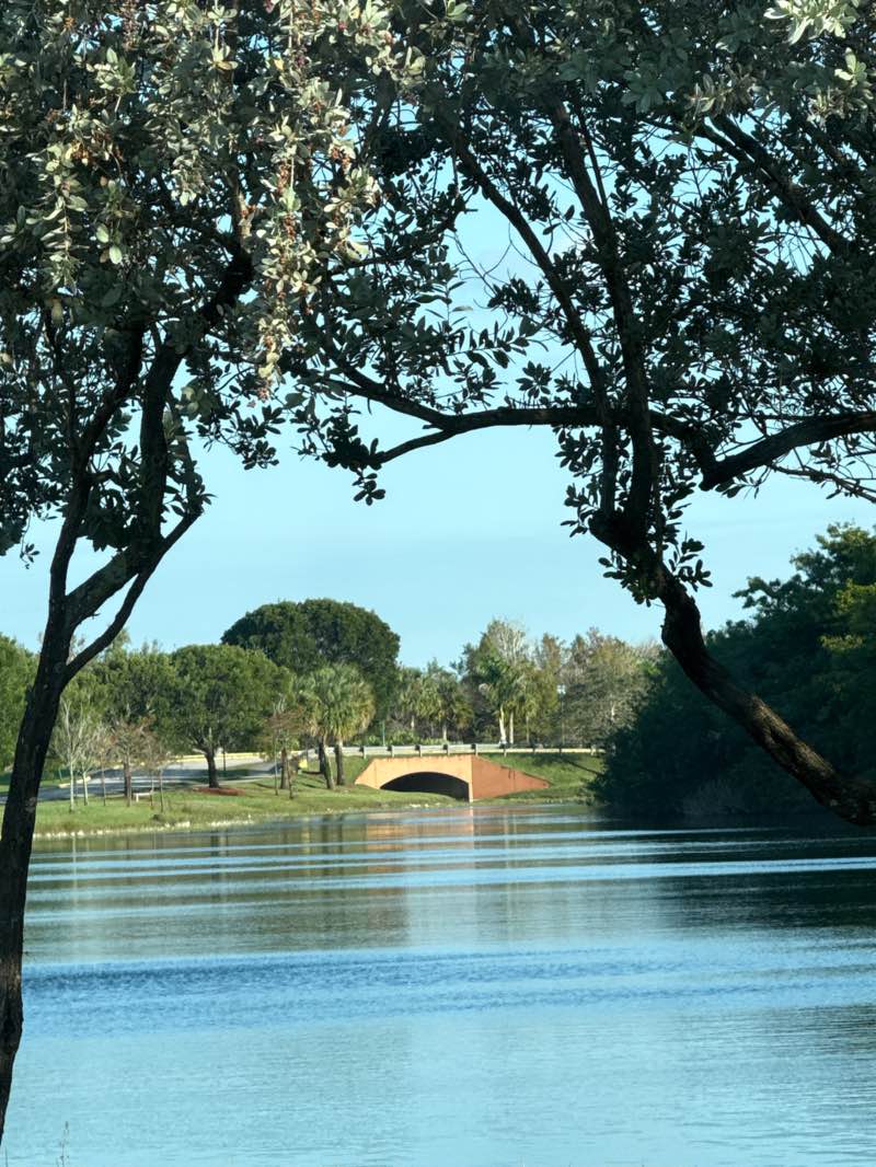 walking near me in Miramar Regional Park in winter