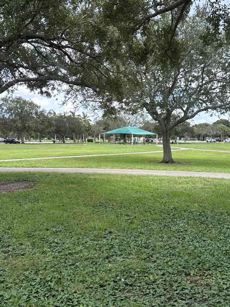 walking near me in Brian Piccolo Park in autumn
