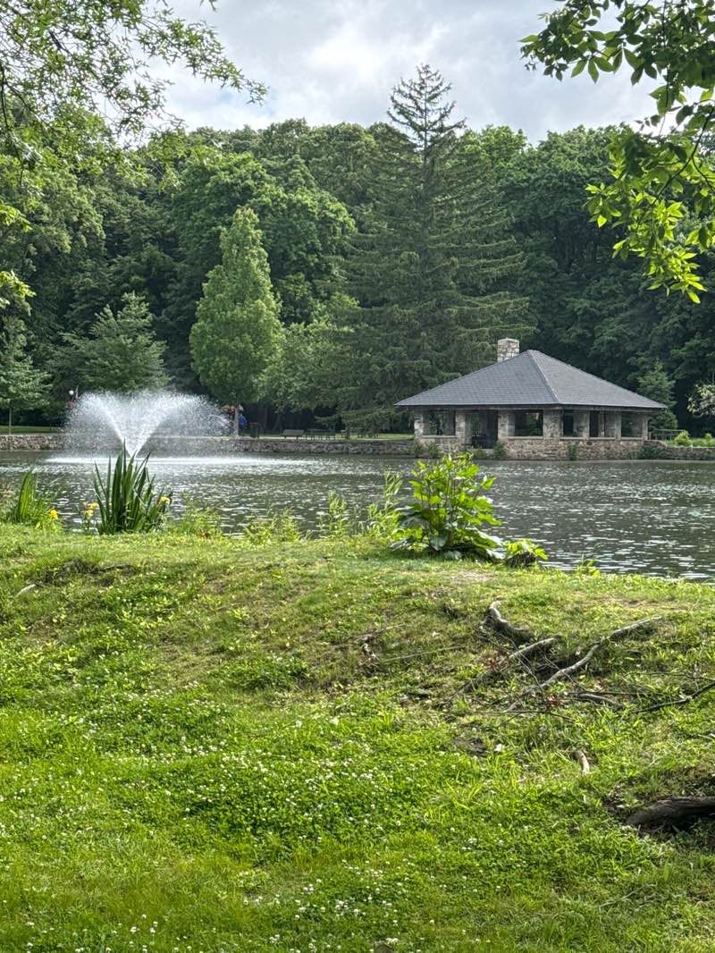 walking near me in Tilley Pond Park in summer