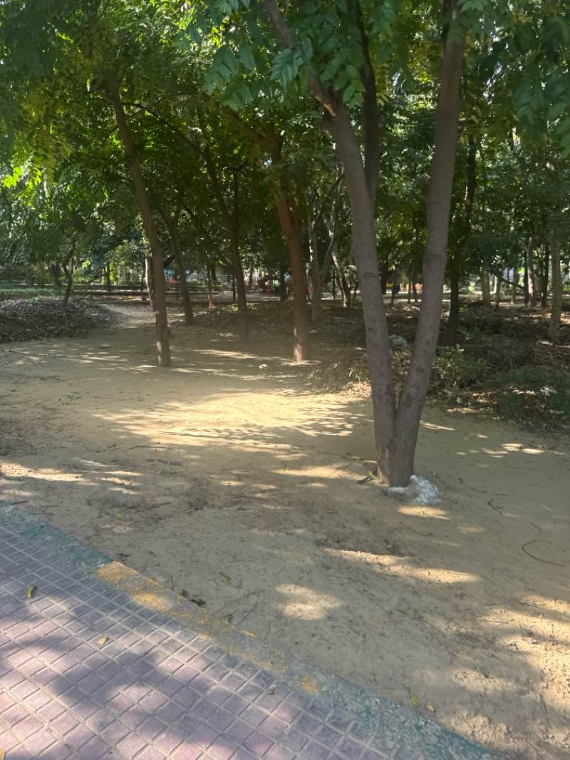 walking near me in HUDA Garden in autumn