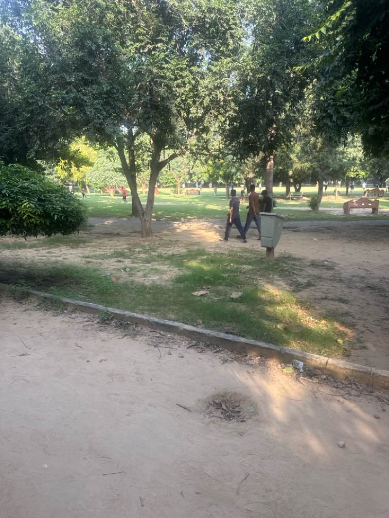 walking near me in park in autumn