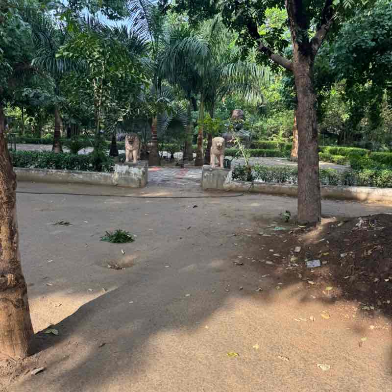 Ashok yadav post 3