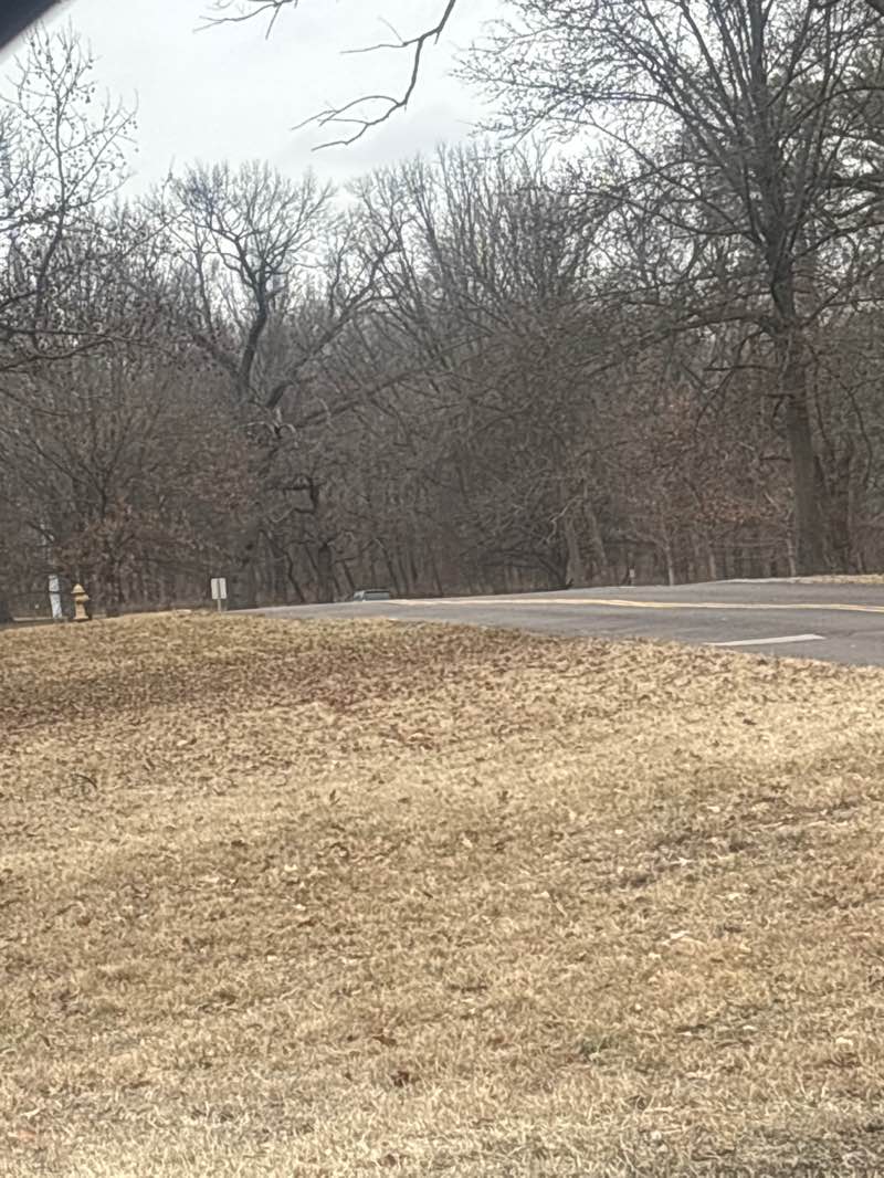 walking near me in Creve Coeur Lake Memorial Park in winter